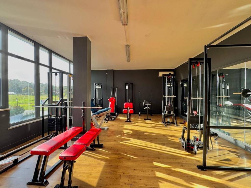 negozio in vendita a Casciana Terme Lari in zona Cevoli