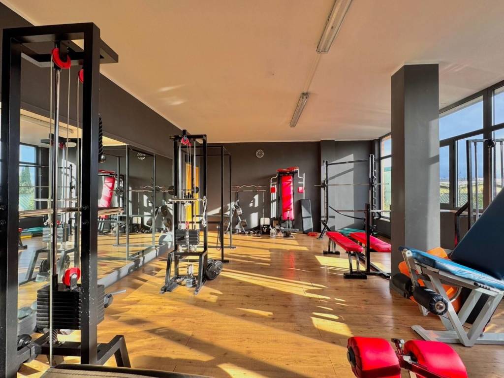 immagine annuncio 2 di 5