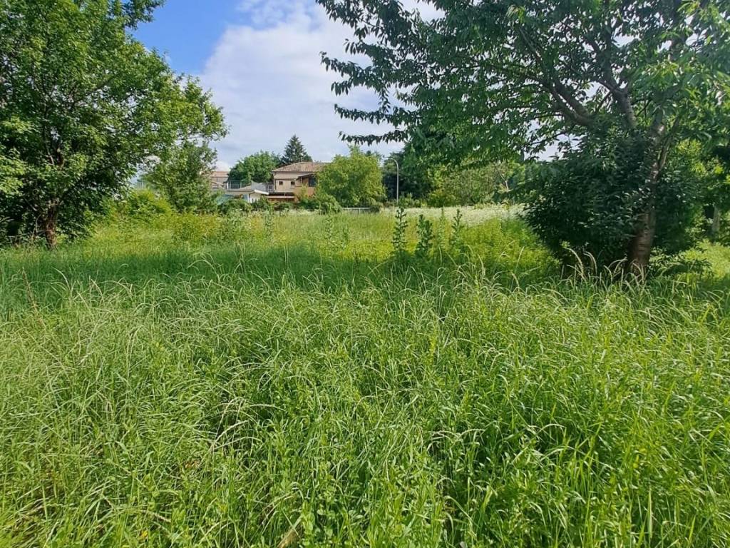 immagine annuncio 1 di 2