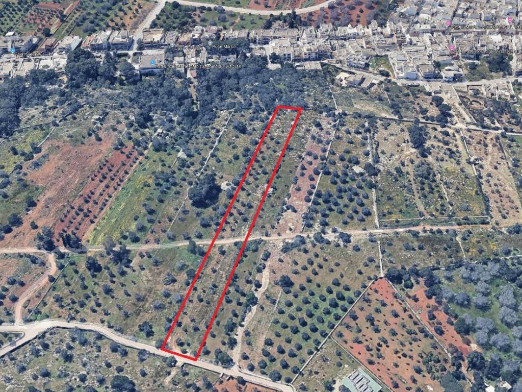 immagine annuncio 1 di 4