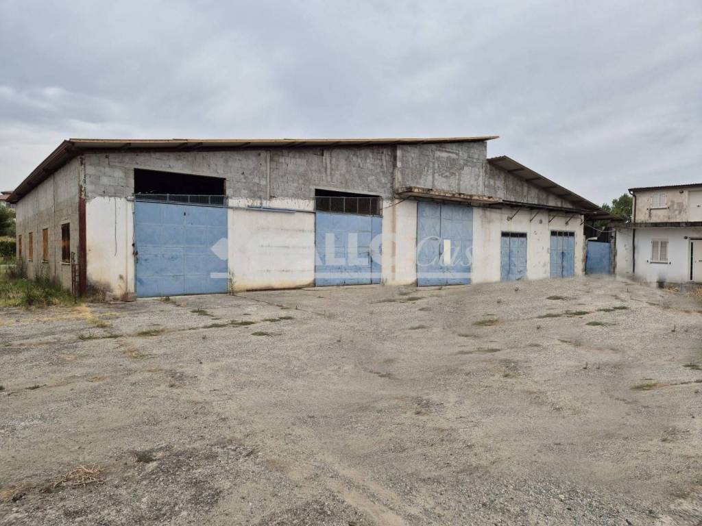 immagine annuncio 2 di 5