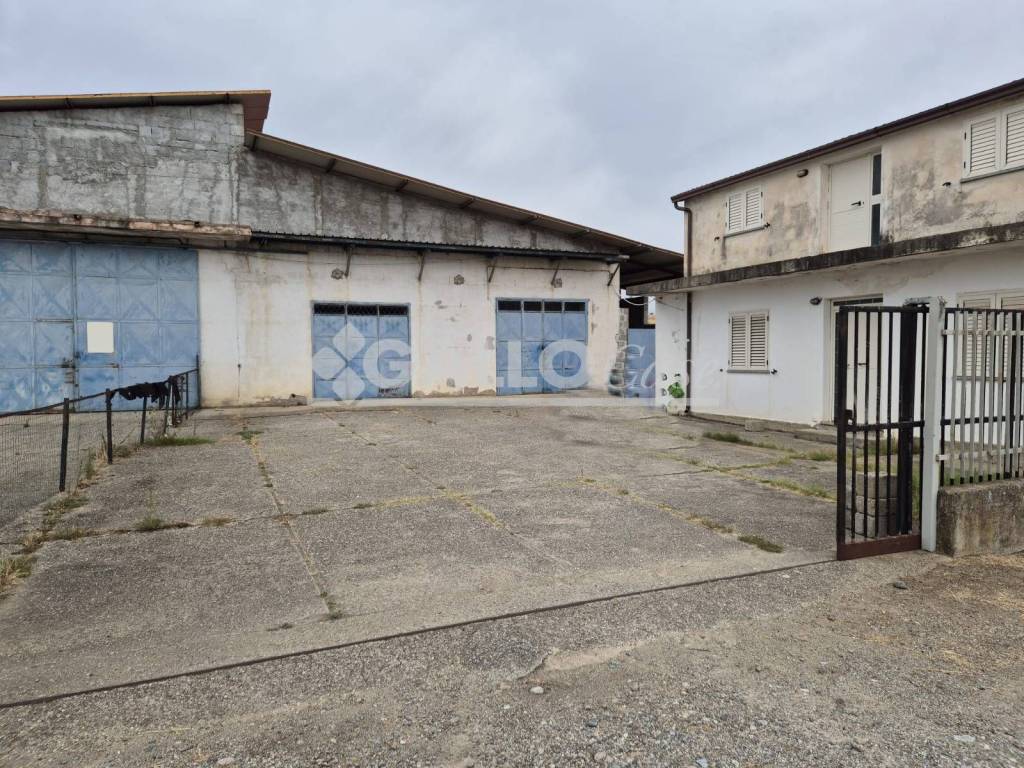 immagine annuncio 4 di 5