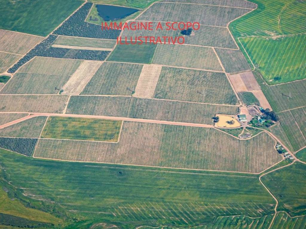 immagine annuncio 2 di 3