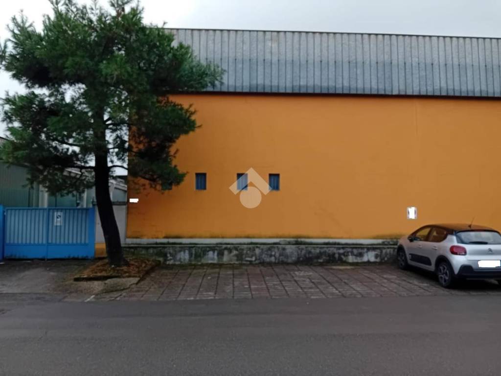 immagine annuncio 3 di 5