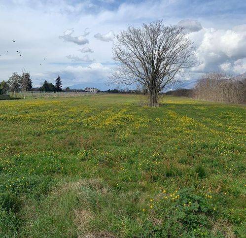 immagine annuncio 2 di 4