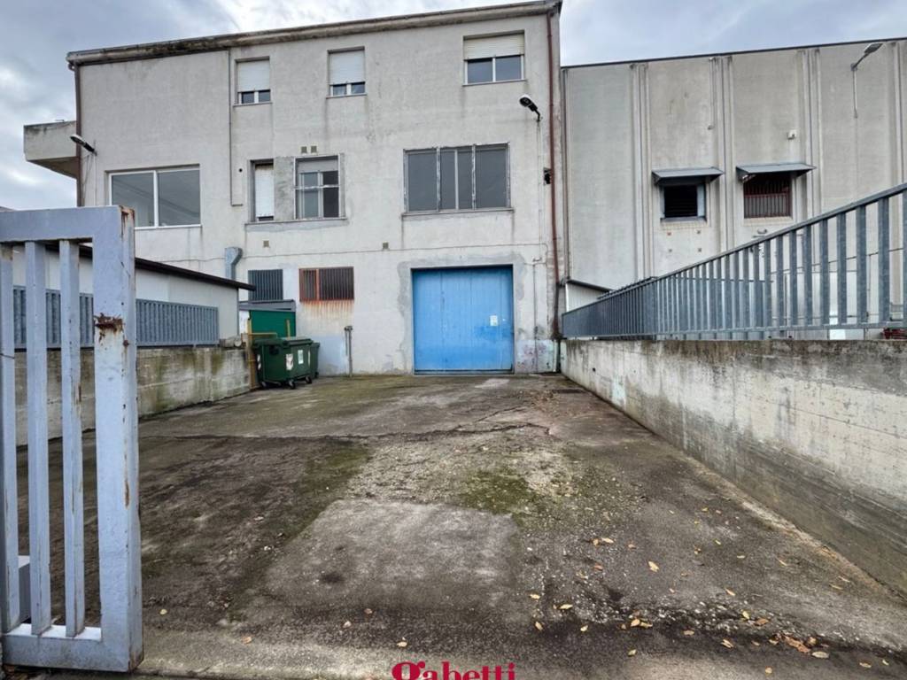 immagine annuncio 1 di 4