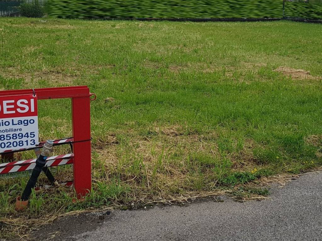 immagine annuncio 1 di 4