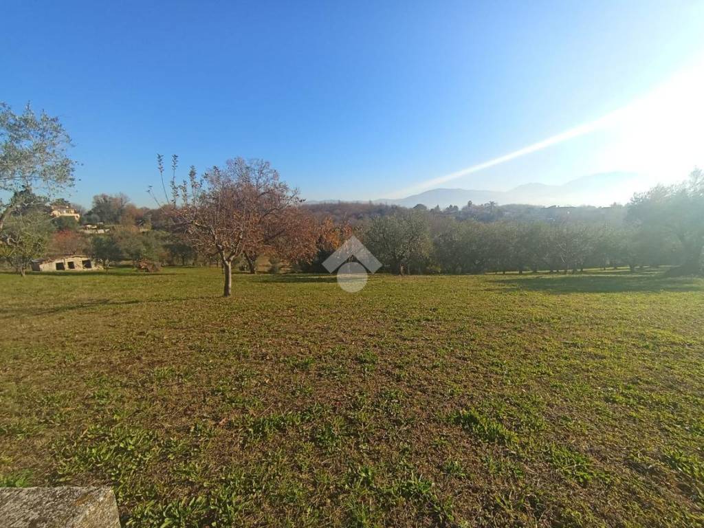 immagine annuncio 1 di 3