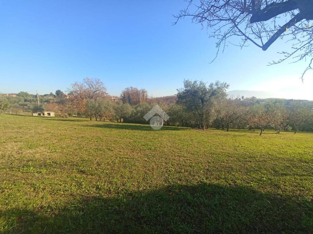 immagine annuncio 2 di 3