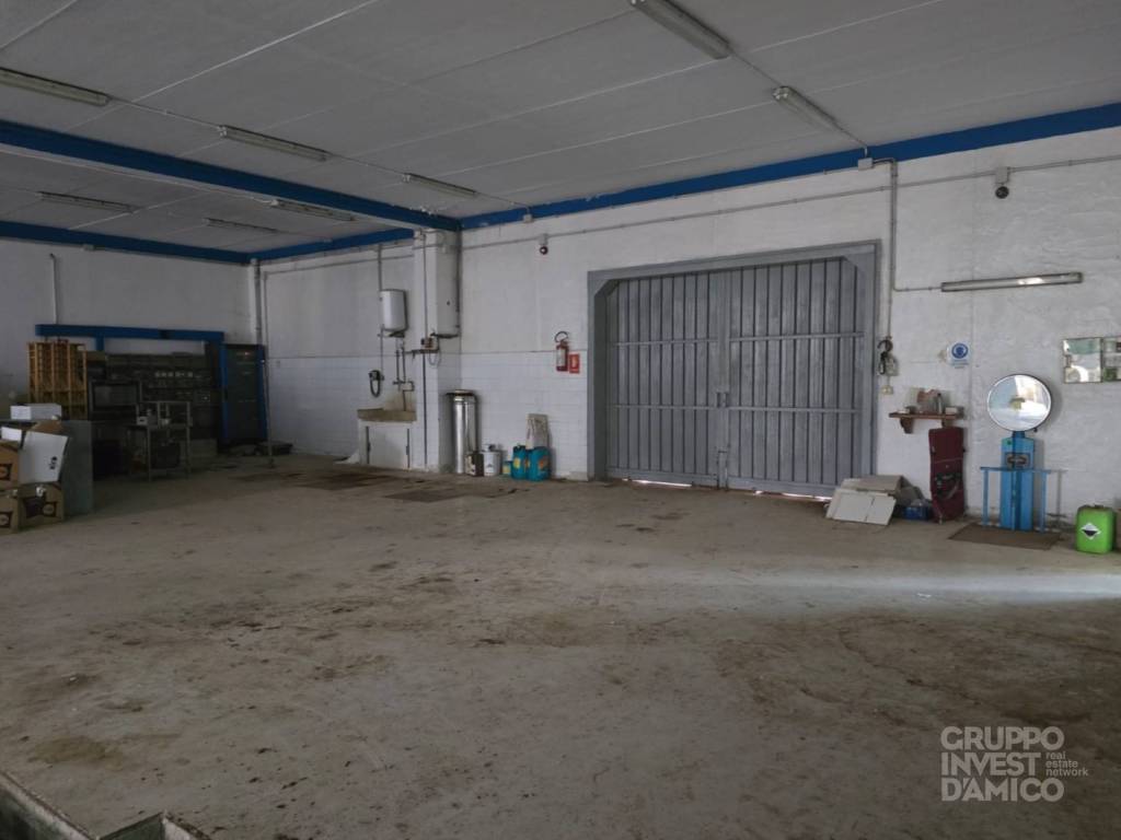 immagine annuncio 2 di 5