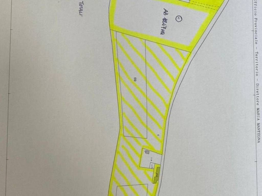 immagine annuncio 2 di 3