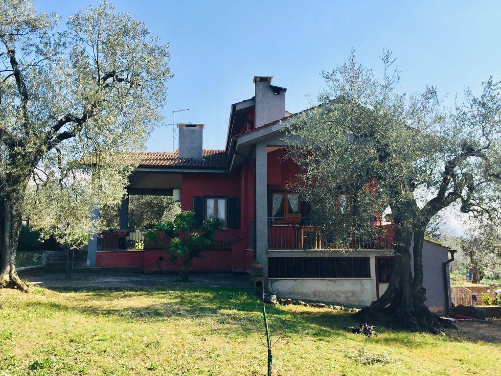 immagine annuncio 4 di 5