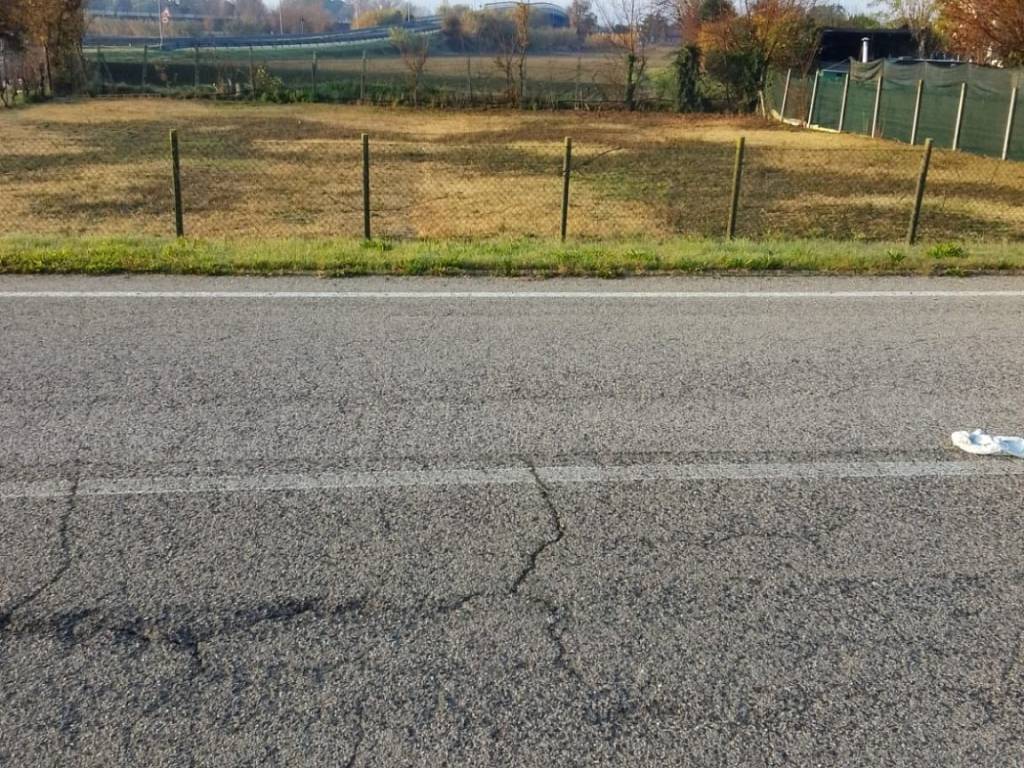 immagine annuncio 2 di 4