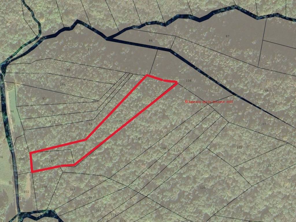 immagine annuncio 2 di 3