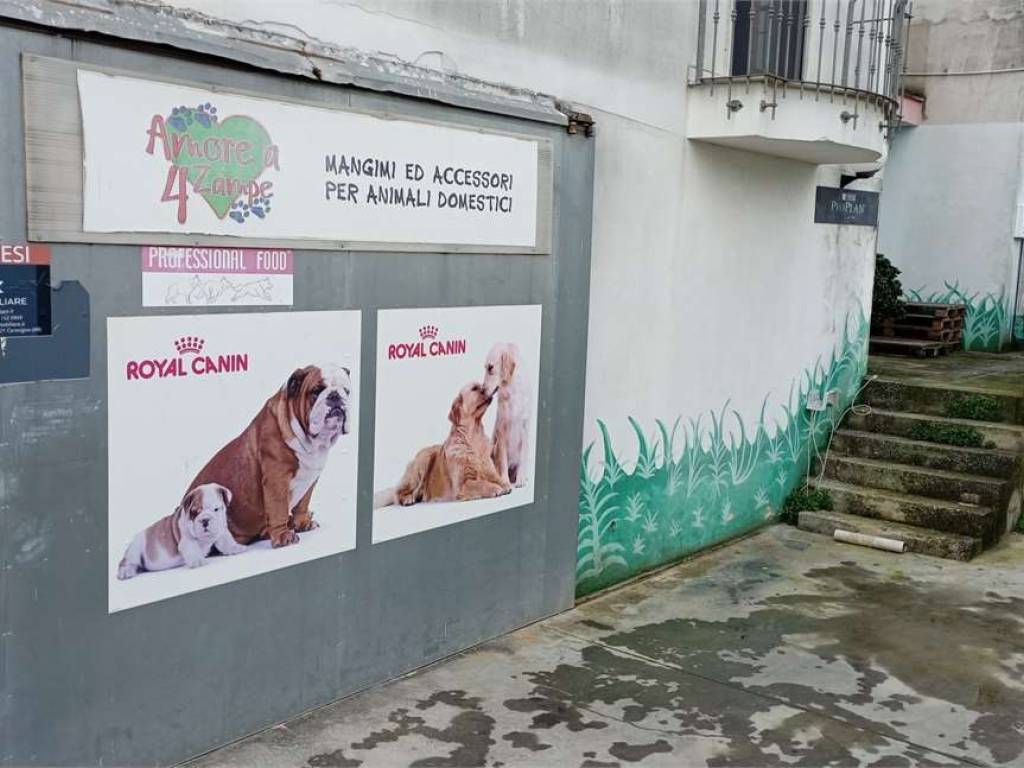 immagine annuncio 3 di 5