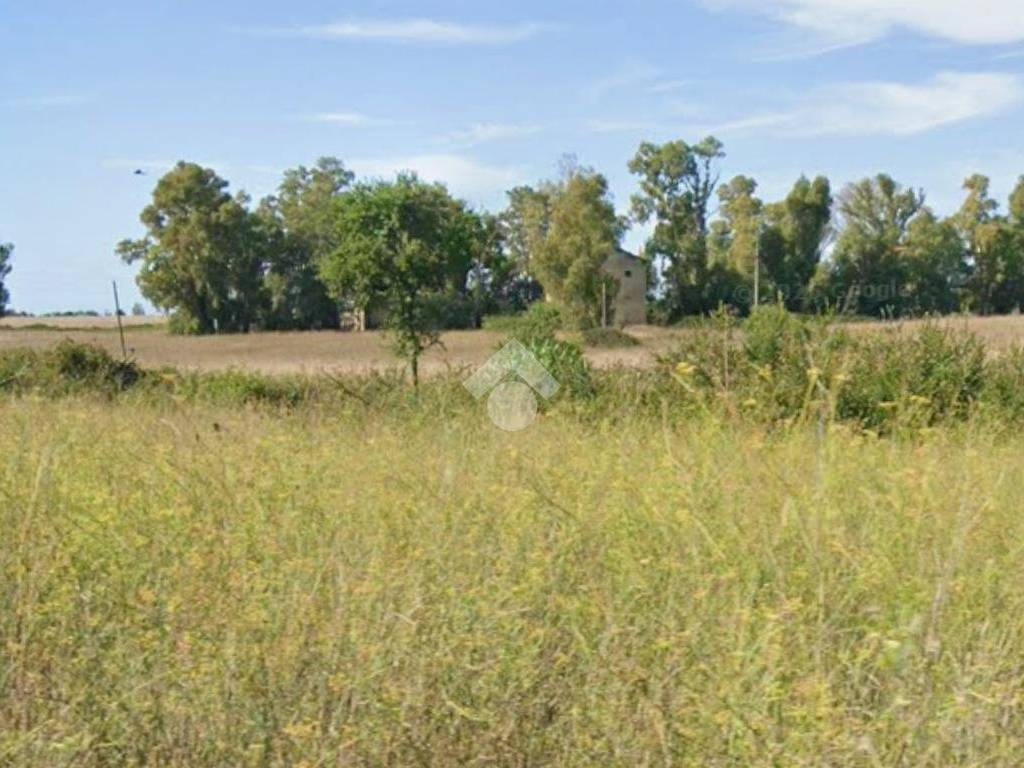 immagine annuncio 2 di 4