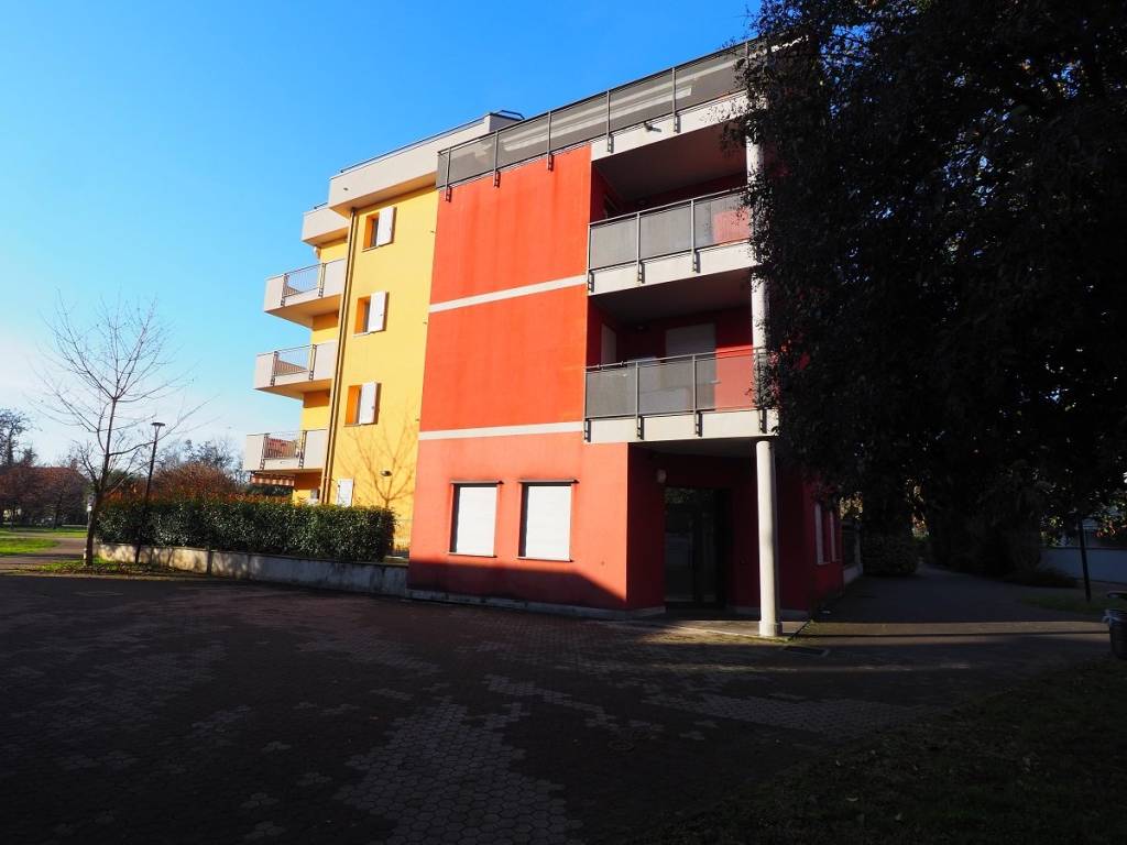 immagine annuncio 1 di 5