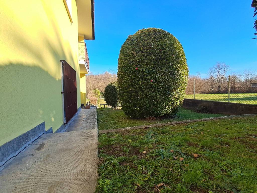 immagine annuncio 2 di 5