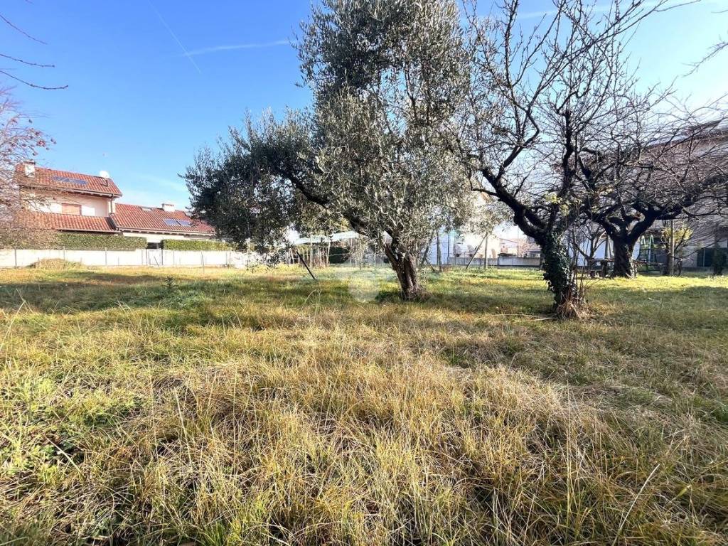 immagine annuncio 2 di 4