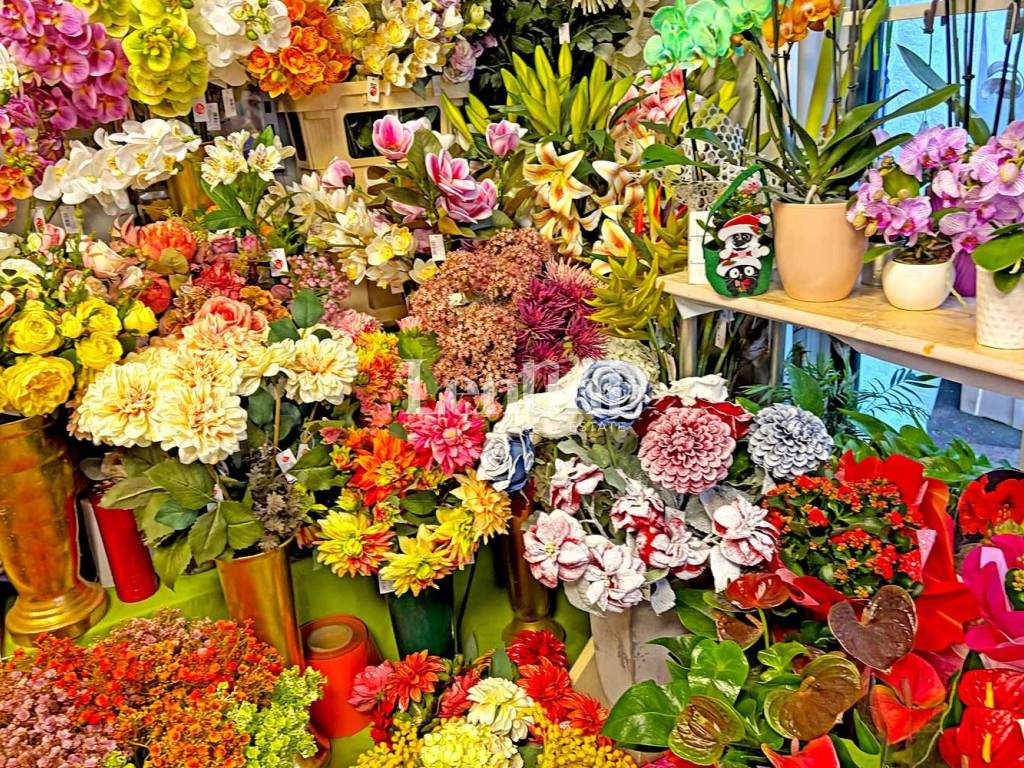 immagine annuncio 4 di 5