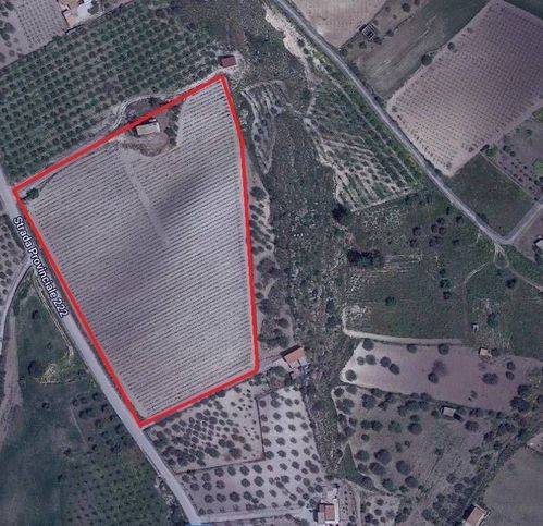 immagine annuncio 1 di 2