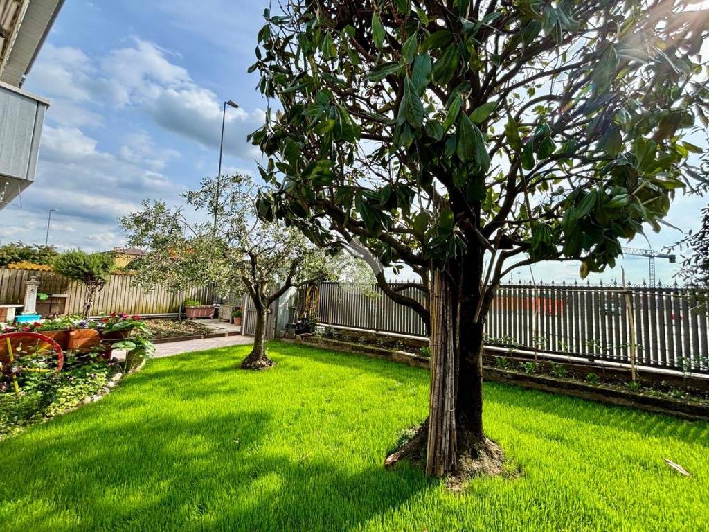 immagine annuncio 3 di 5