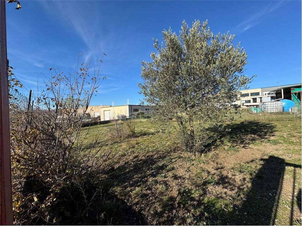 immagine annuncio 1 di 4