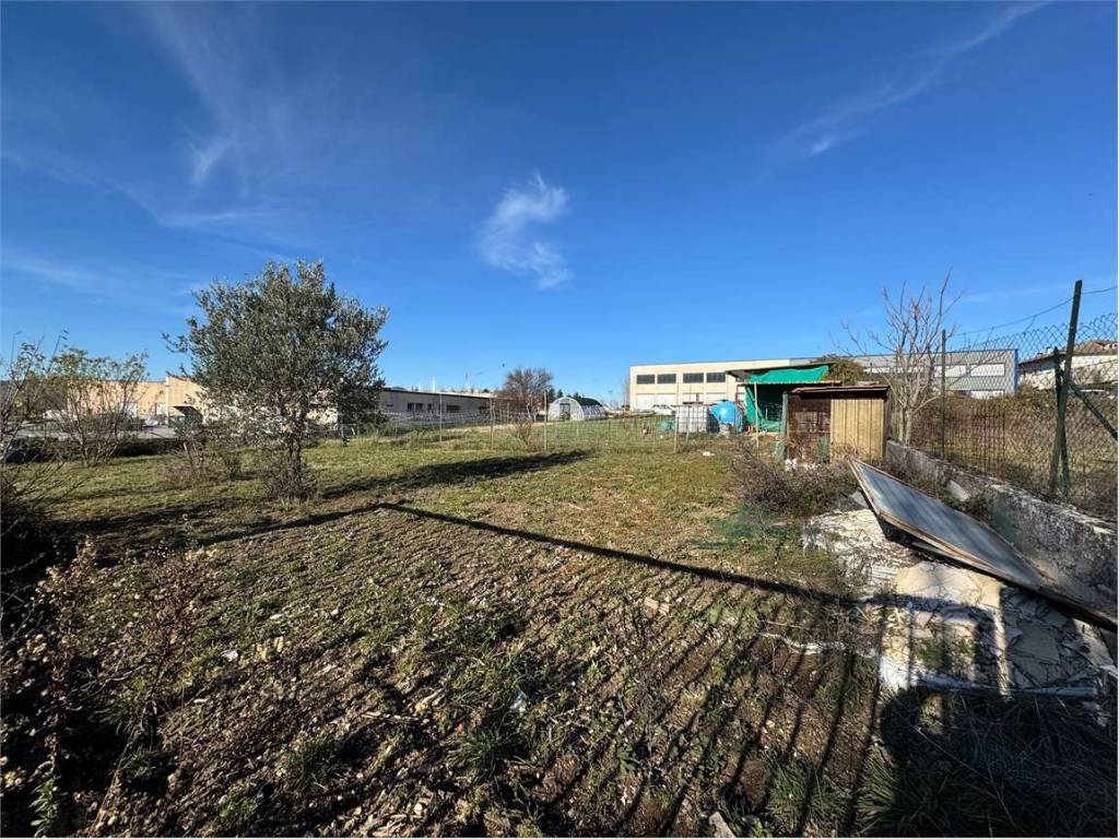 immagine annuncio 2 di 4