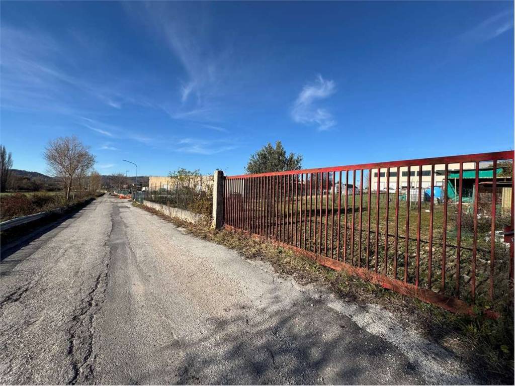 immagine annuncio 3 di 4