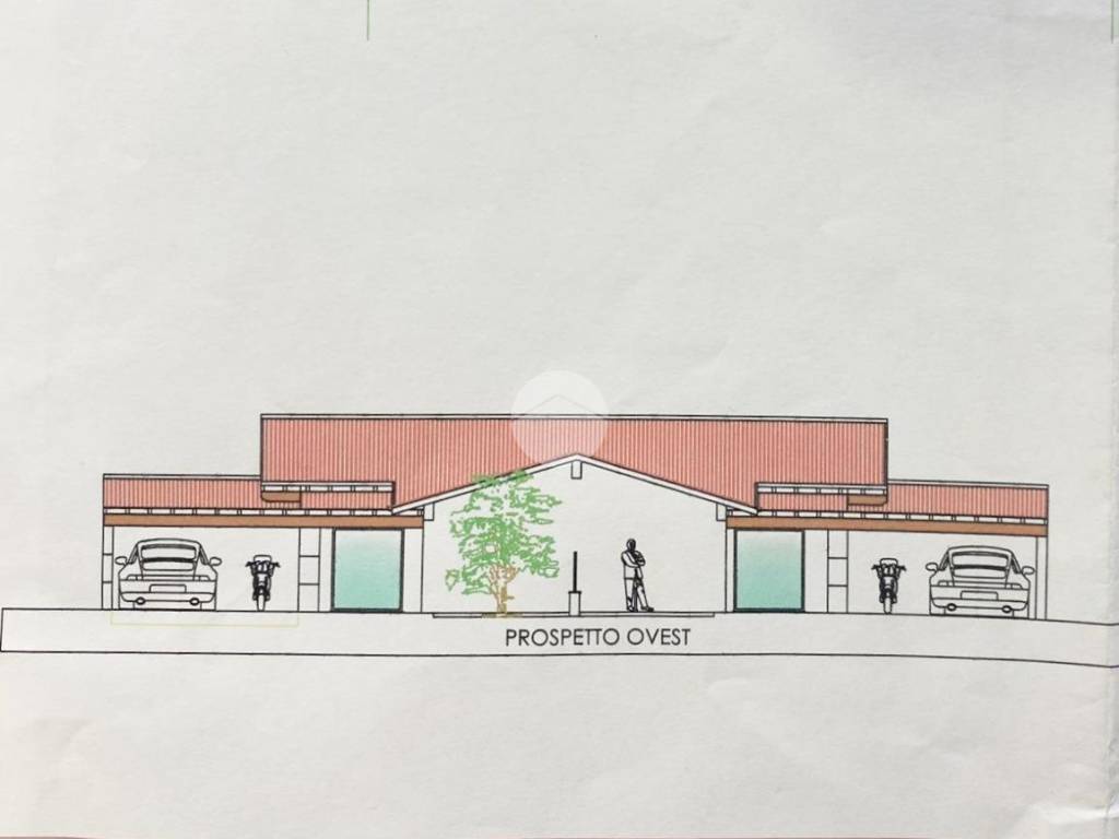 immagine annuncio 2 di 4