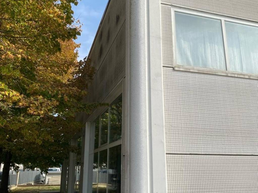 immagine annuncio 2 di 4