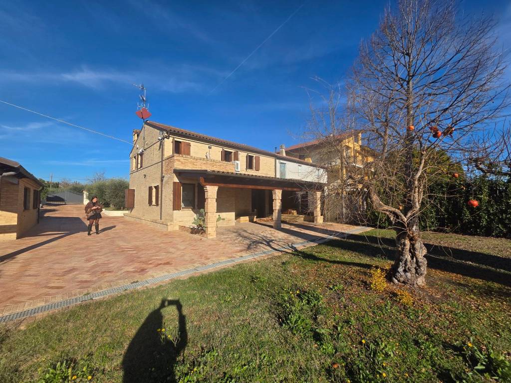 immagine annuncio 3 di 5