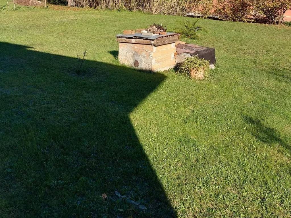 immagine annuncio 3 di 4