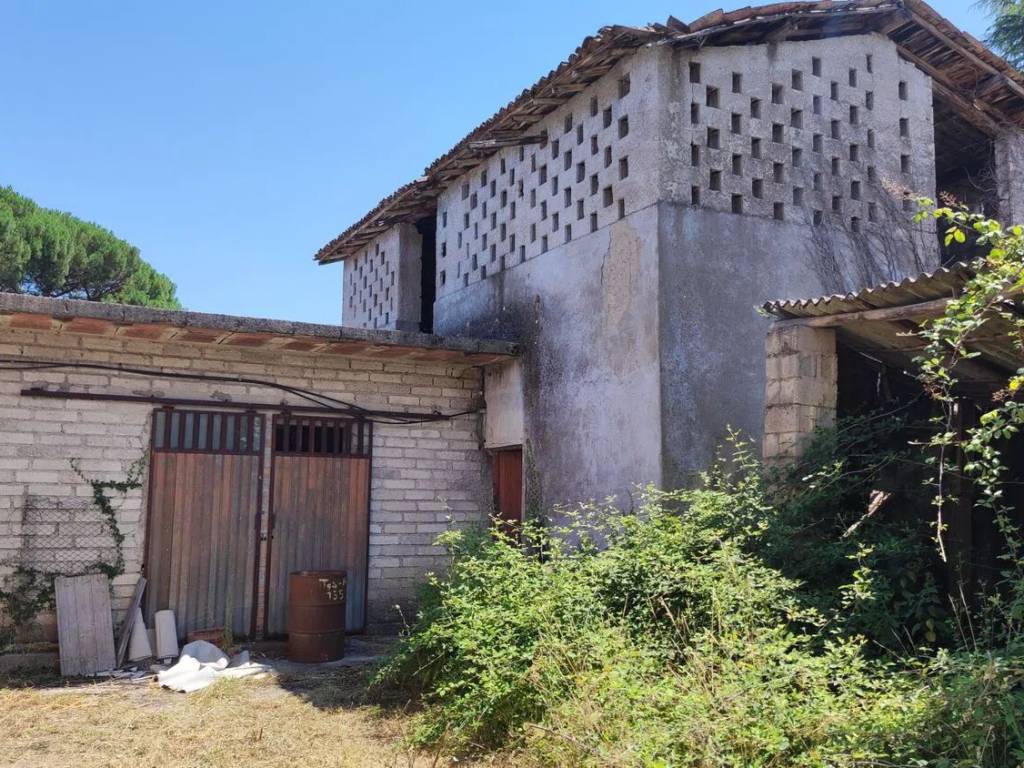 immagine annuncio 3 di 4