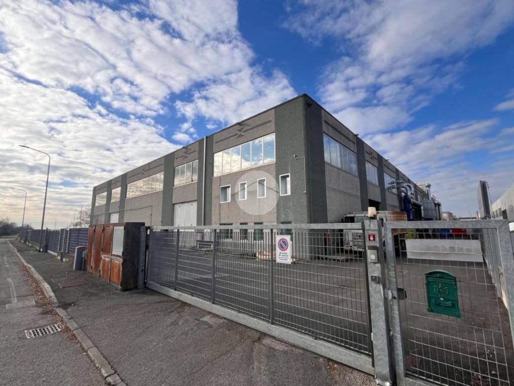 immagine annuncio 2 di 5