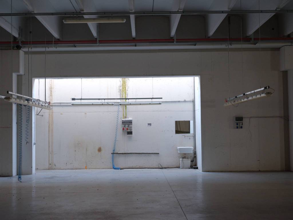 immagine annuncio 2 di 3