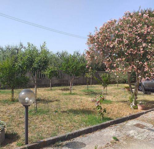 immagine annuncio 1 di 4