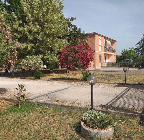 immagine annuncio 2 di 4