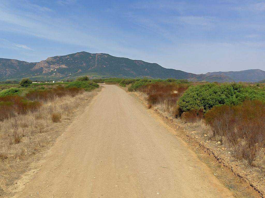 immagine annuncio 1 di 2