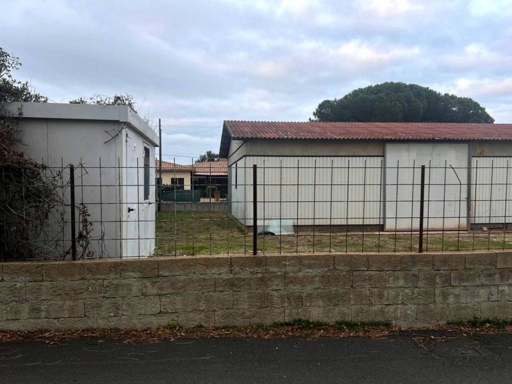 immagine annuncio 3 di 4
