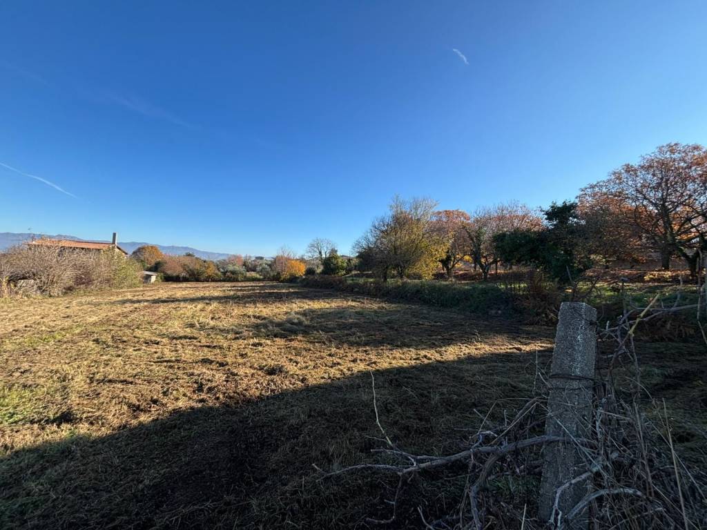 immagine annuncio 1 di 3