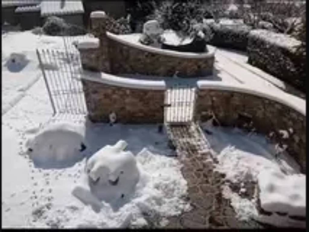 immagine annuncio 3 di 4