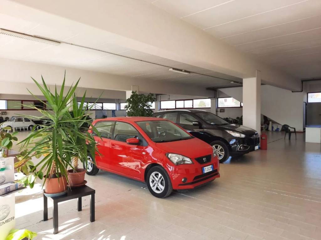 immagine annuncio 2 di 5