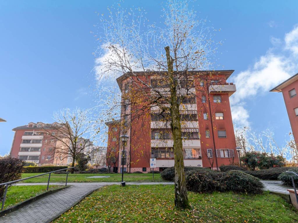 immagine annuncio 2 di 5