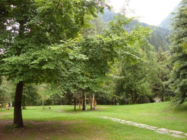 immagine annuncio 1 di 5