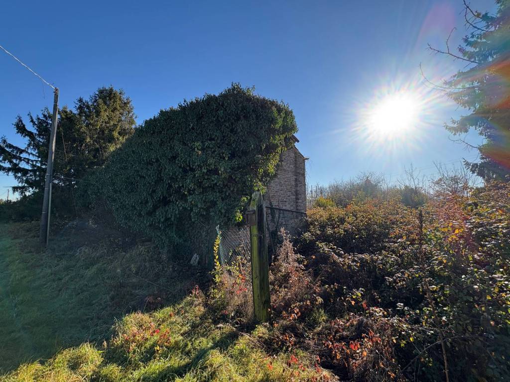 immagine annuncio 1 di 3