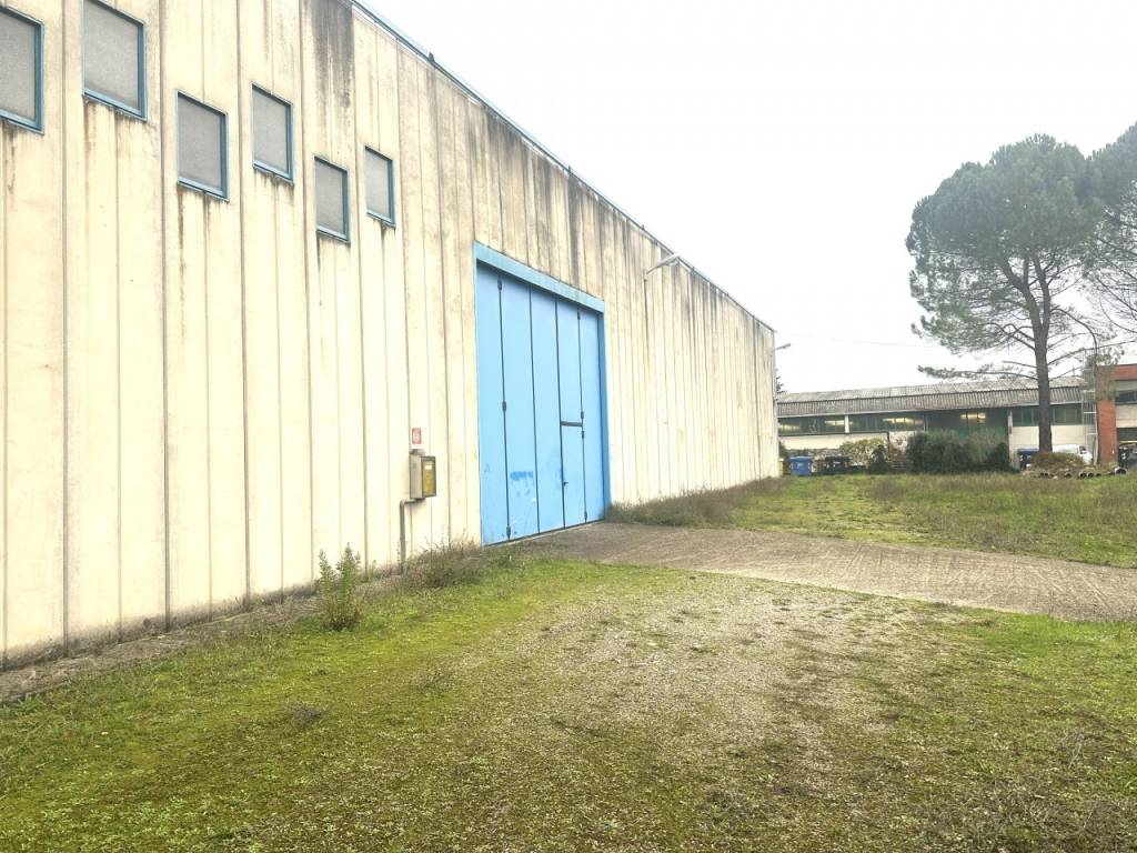 immagine annuncio 1 di 4