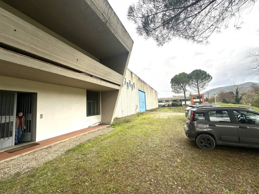 immagine annuncio 2 di 4