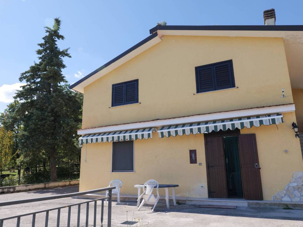 immagine annuncio 2 di 5