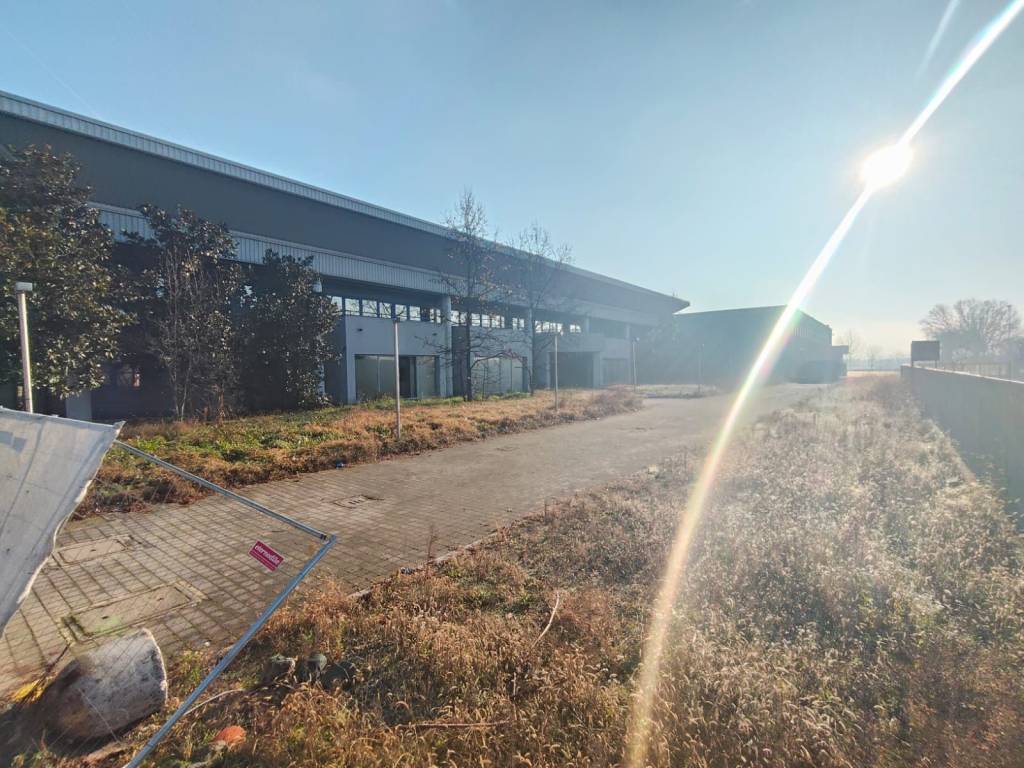 immagine annuncio 2 di 4